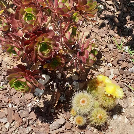Casa Dos Imos Hébergement de vacances Alvados