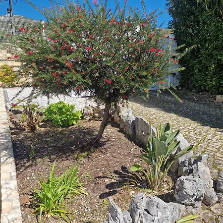 Casa Dos Imos Hébergement de vacances *