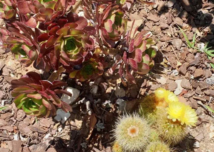 Casa Dos Imos Casa de Férias Alvados